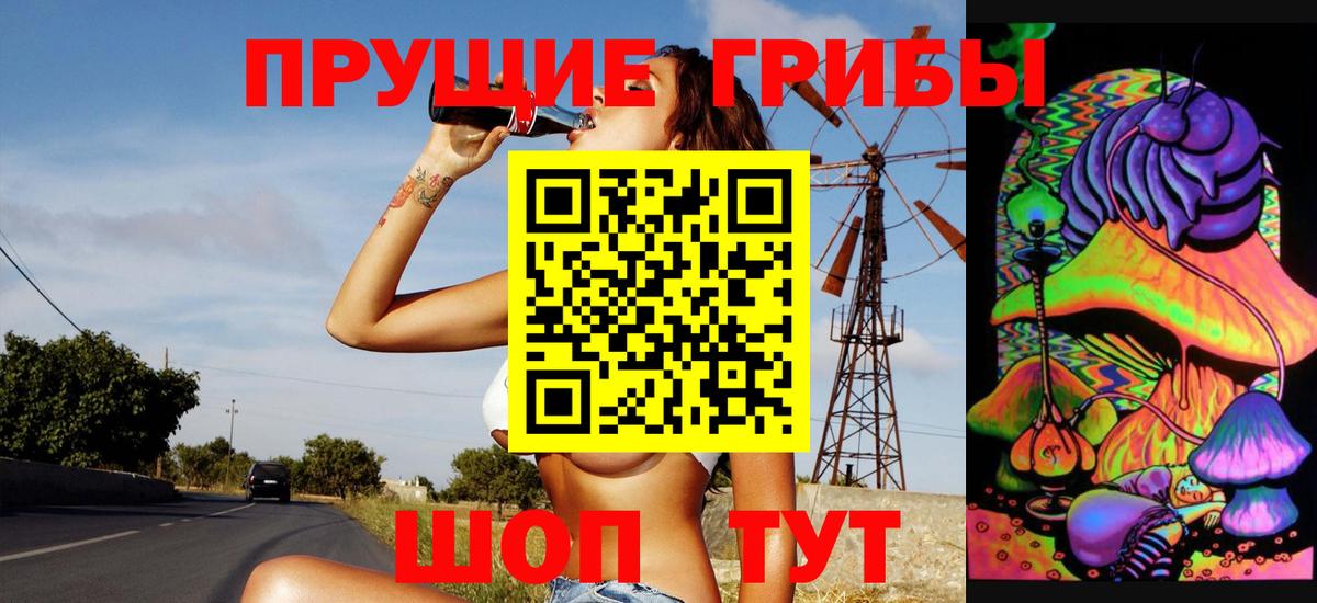 Псилоцибиновые грибы GOLDEN TEACHER Великий Новгород
