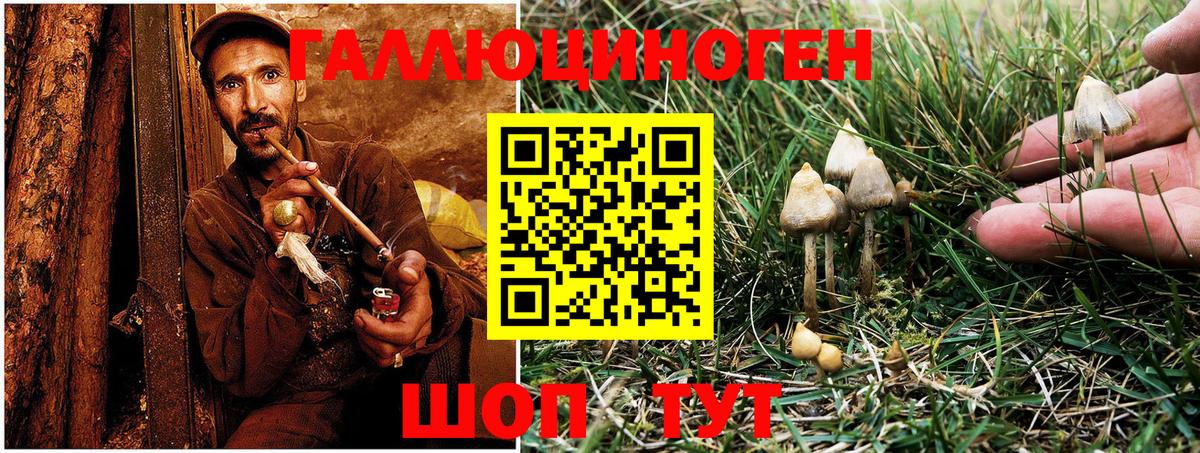 Псилоцибиновые грибы Magic Shrooms  Вход с VPN  Великий Новгород 